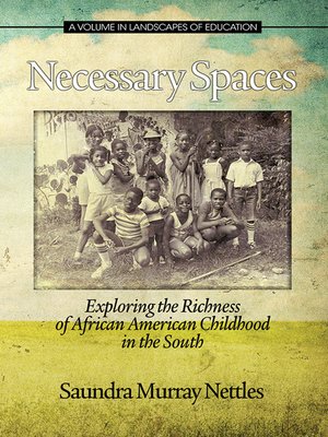 cover image of Necessary Spaces